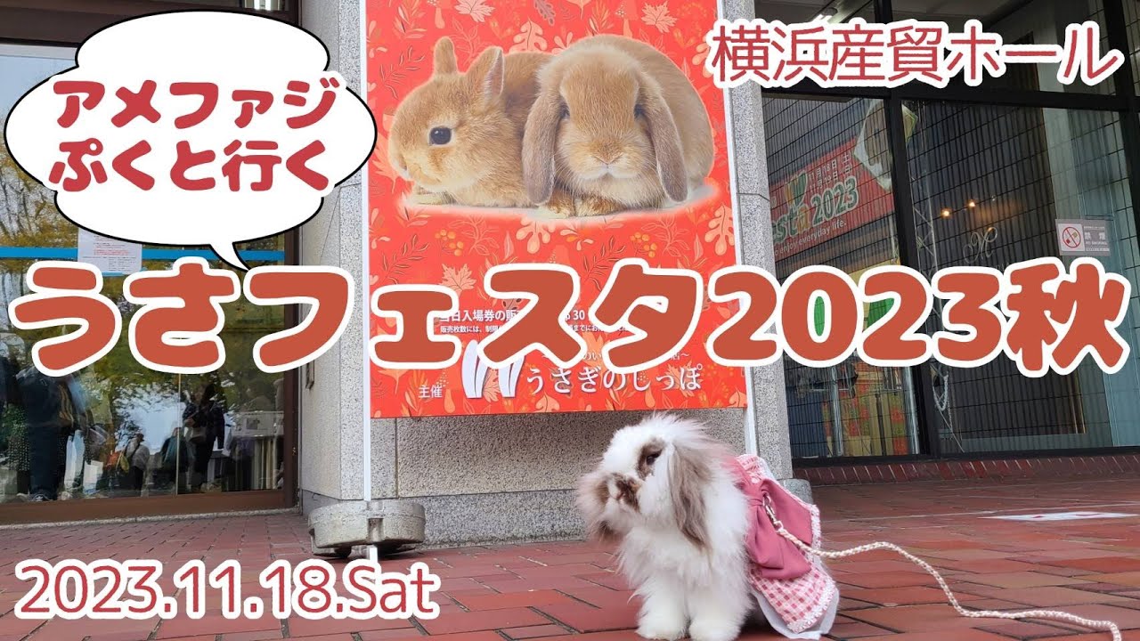 うさフェスタ2023秋に行ってきました♪