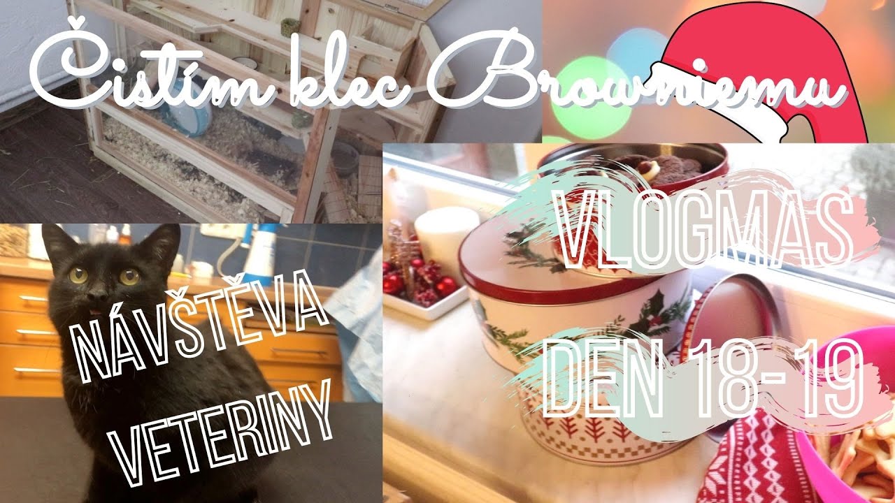ČIŠTĚNÍ KLECE křečkovi| NÁVŠTĚVA VETERINY | DALŠÍ PEČENÍ | VLOGMAS DEN 18-19