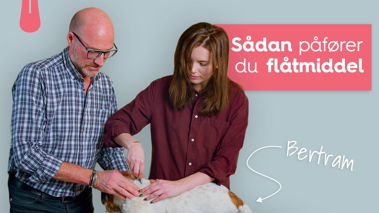 S&aring;dan p&aring;f&oslash;rer du fl&aring;tmiddel | Vuffeli