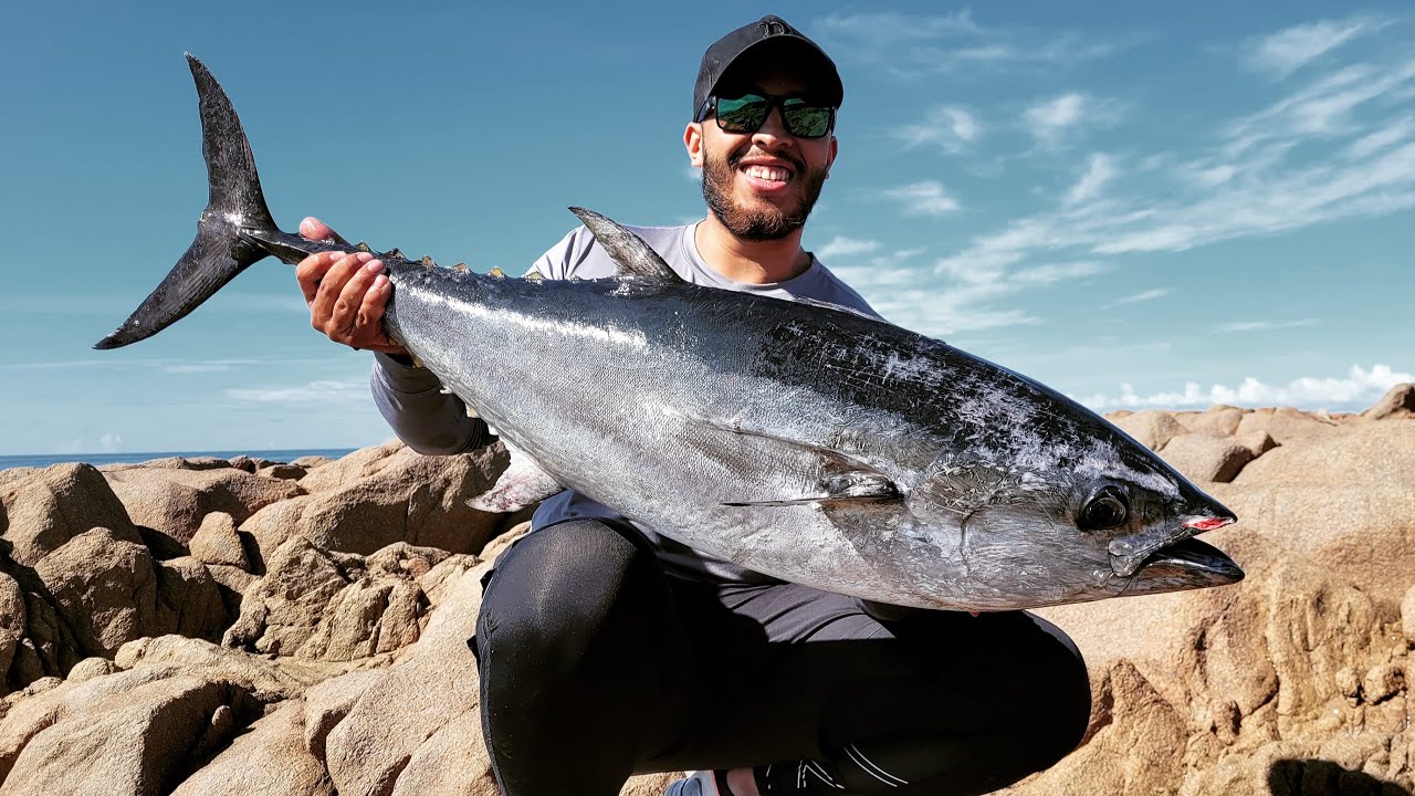 Fat Tuna Land Based [NSW Australia]