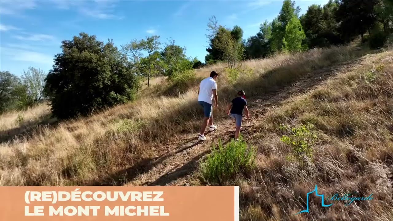 LE SENTIER DU MONT MICHEL (Bellegarde 30127)