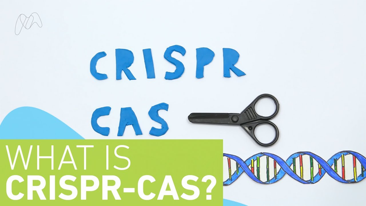 What is CRISPR-Cas?