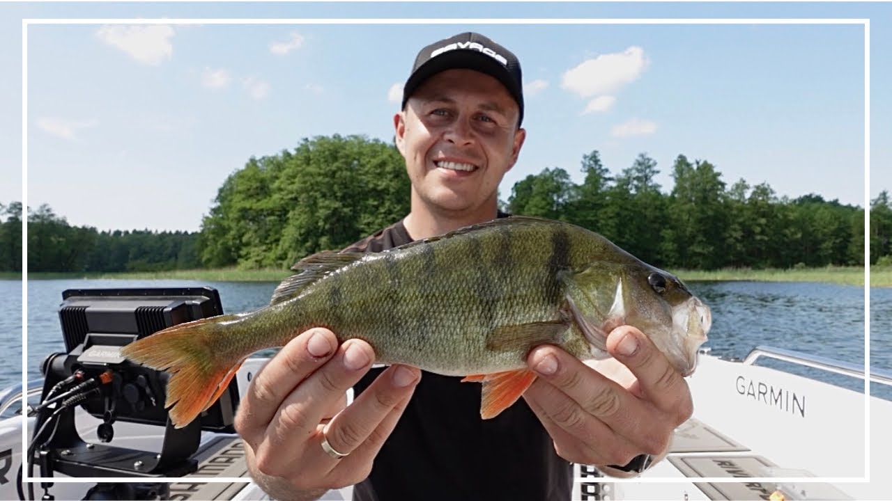 OKONIE na SPINNING! | Nowa Łódź - RIVERFOX 420!