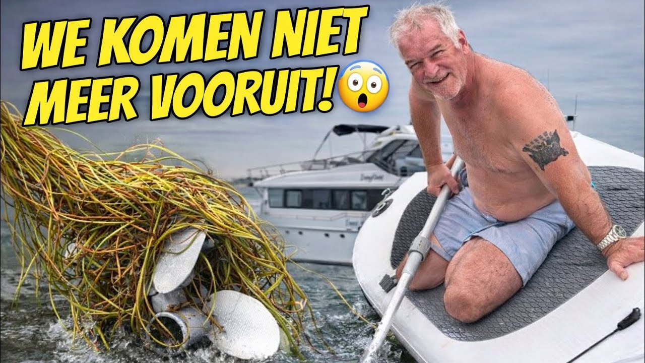 VASTZITTEN IN HET FONTEINKRUID - KUNNEN WE VRIJ KOMEN?