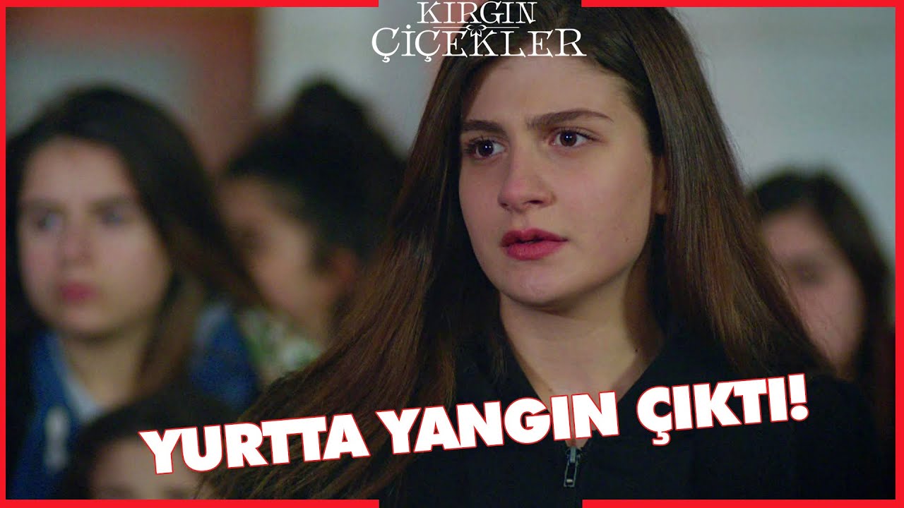 Kırgın Çiçekler Özel Kısa Bölümler | 114