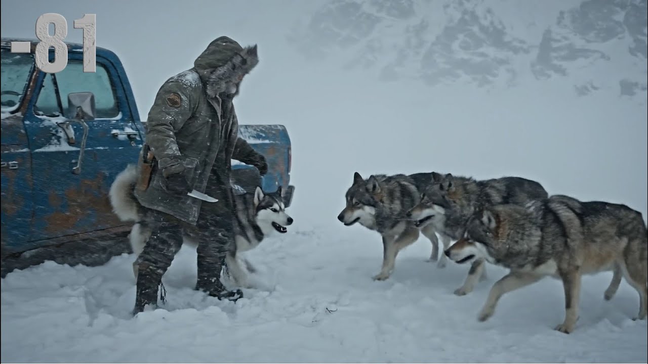 Alone at −81°C: An 80 Year Old Man Trapped in a Blizzard Protects His Husky from Wolves