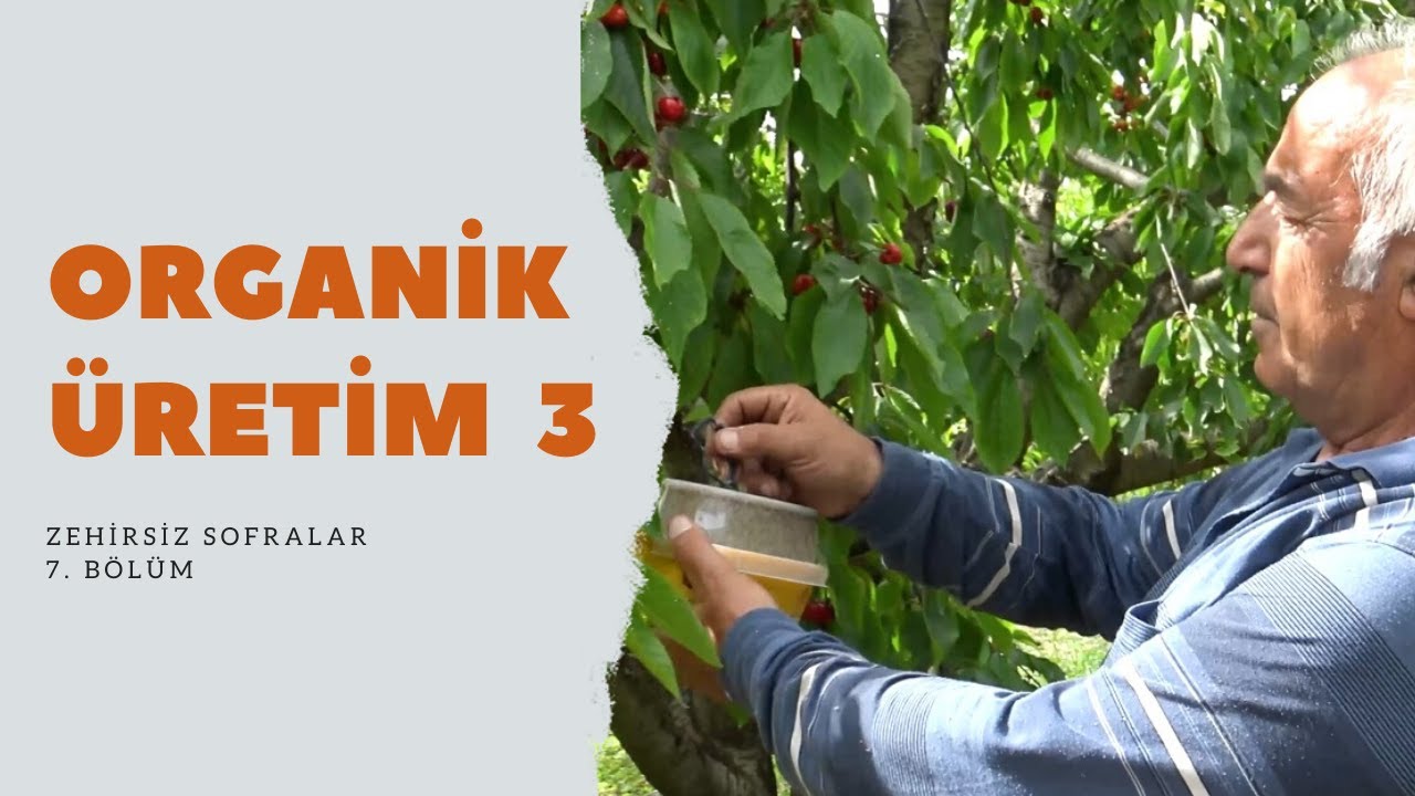 Zehirsiz Sofralar 7. Bölüm - Organik Üretim - 3 (Nihat Fırat & Muzaffer Kul & İhsan Parlak)
