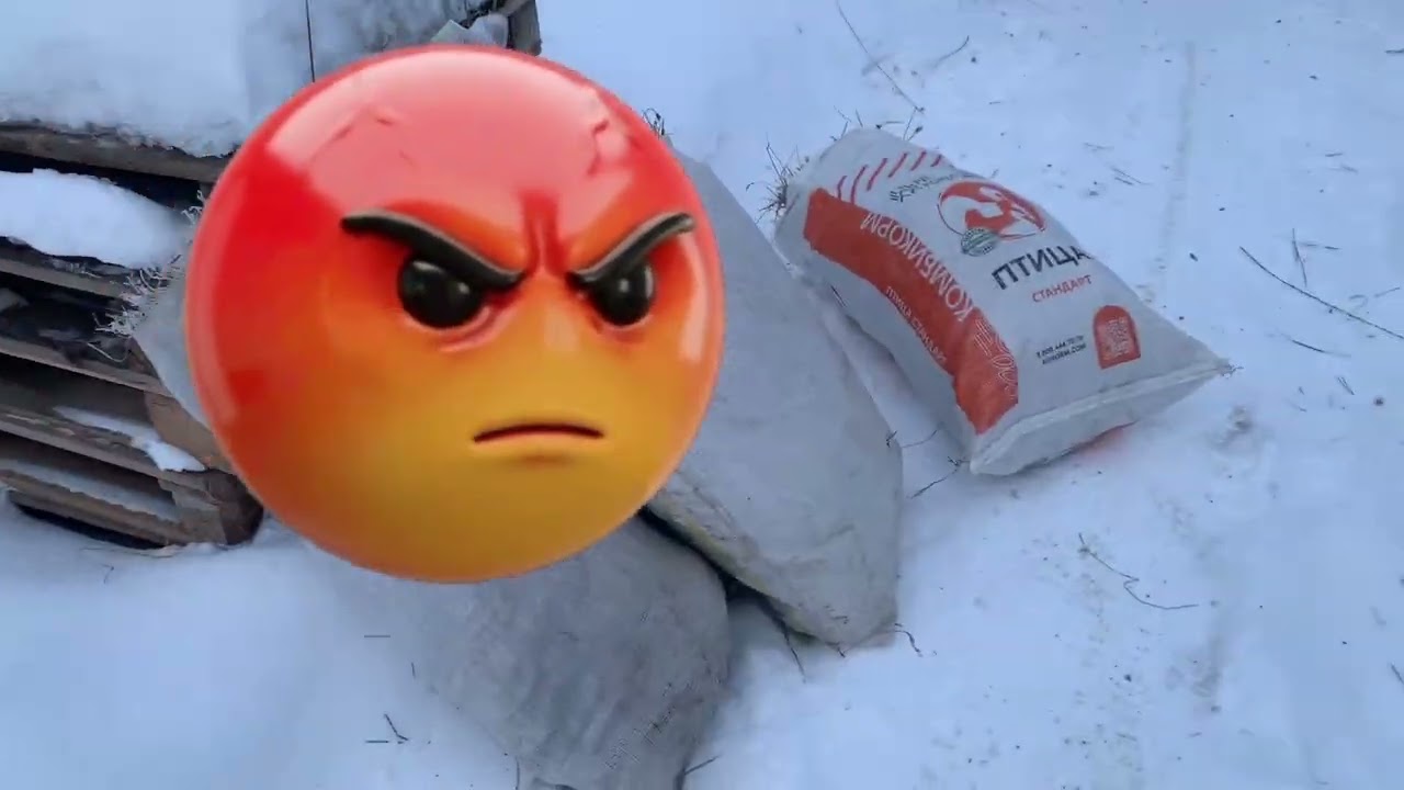 Нас настигает знойная погода🧐🙄🥶Как дела в курятнике⁉️Сколько сегодня яиц ⁉️