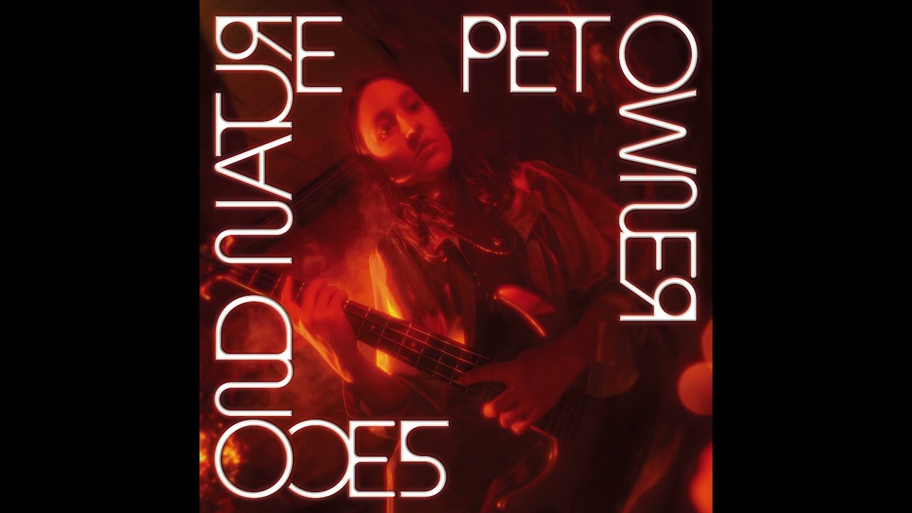 Pet Owner - In Flux
