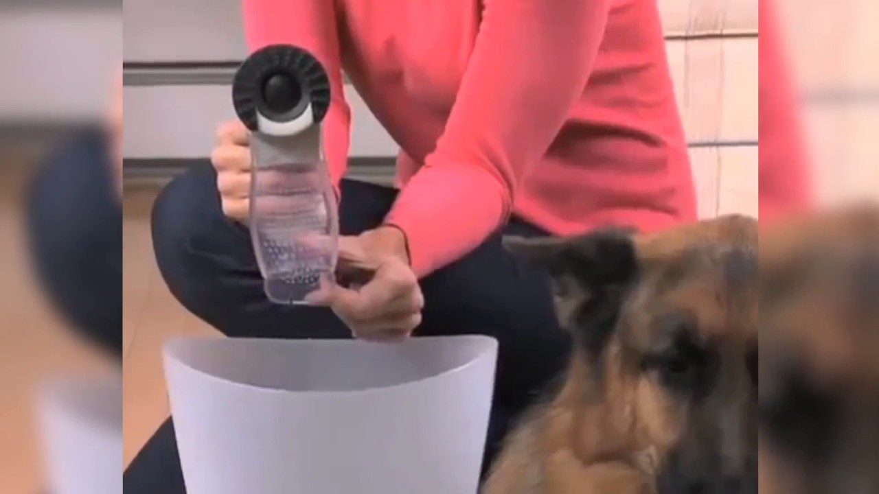 🔴 Pet Groom - Многофункциональный девайс для вычесывания шерсти