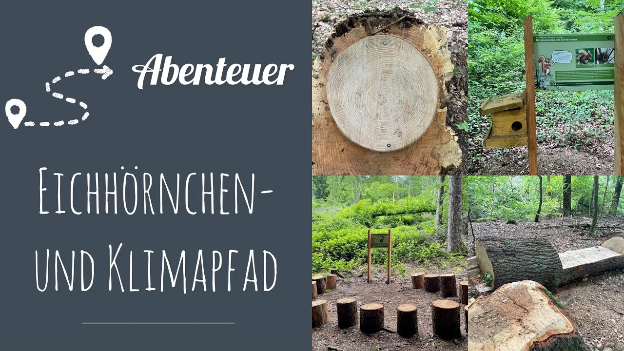 Neu!!🐿 Eichhörnchen- und Klimapfad am Limberg in Menden im Sauerland mit Archi - Themenweg!