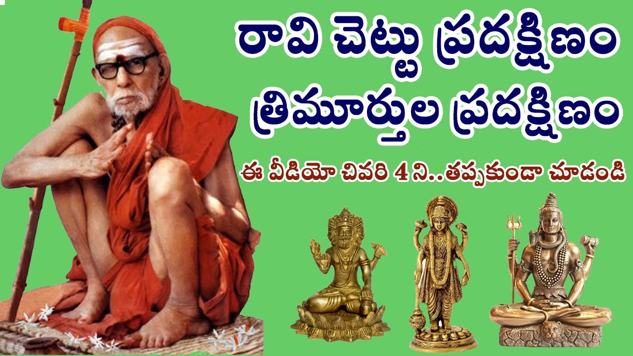 మహాస్వామి భోద I రావిచెట్టుకు ప్రదక్షిణ  ఎలా చేయాలి I ప్రదక్షిణ ద్వారా కలిగే ఫలితం ఏమిటి..