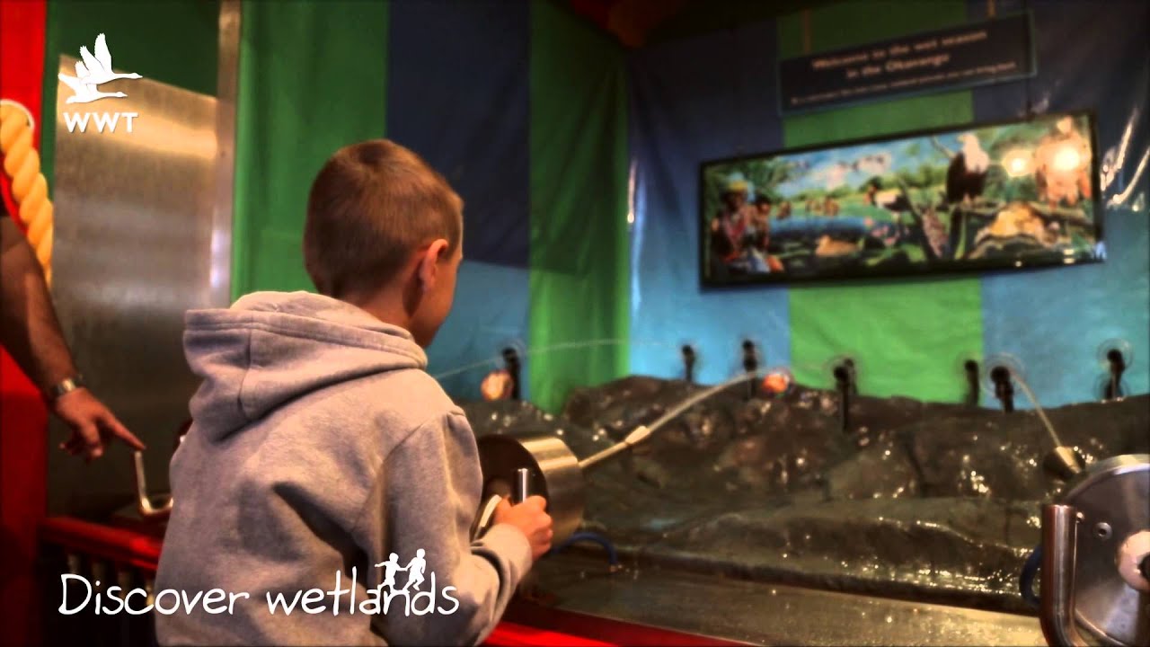 WWT London - discover wetlands