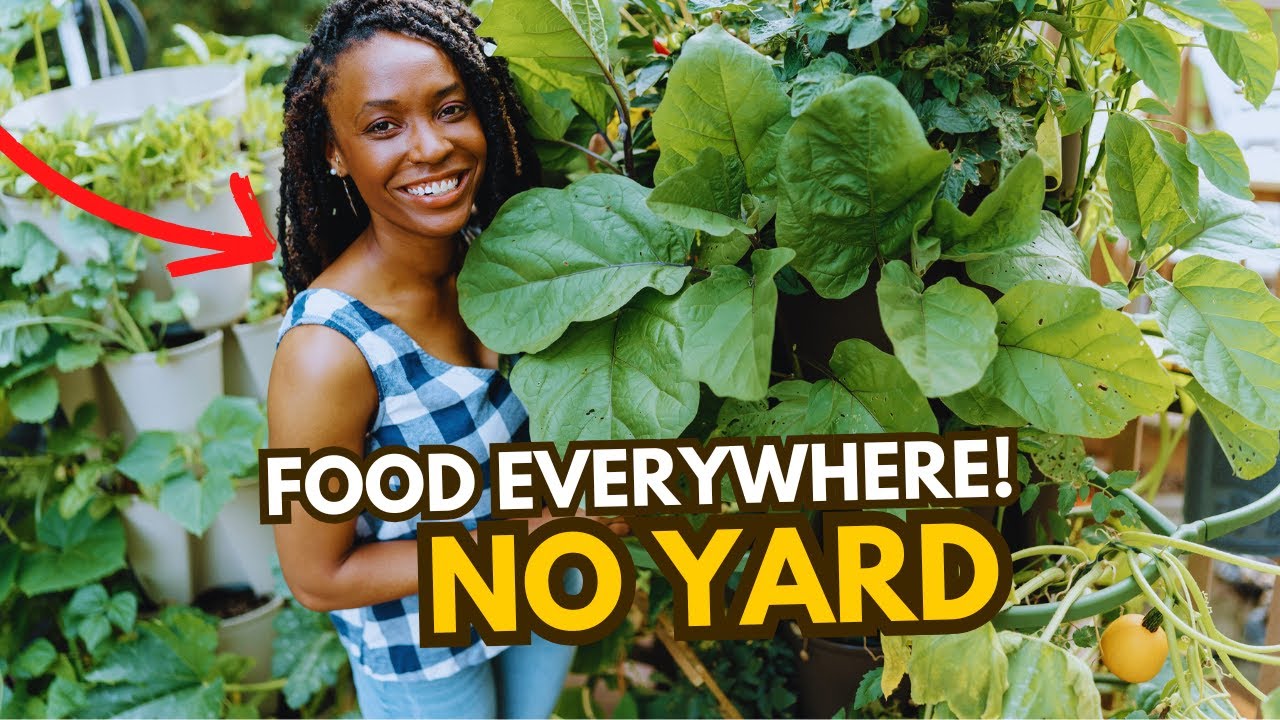 My Deck Is a Grocery Store Now&mdash;And It Beats YOUR Backyard | Here's How--Spring Garden Tour