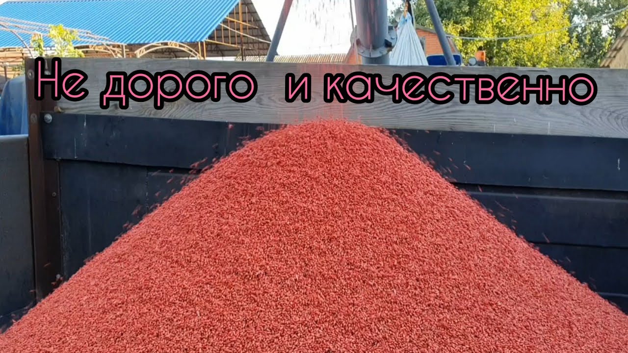 Протравитель бюджетный