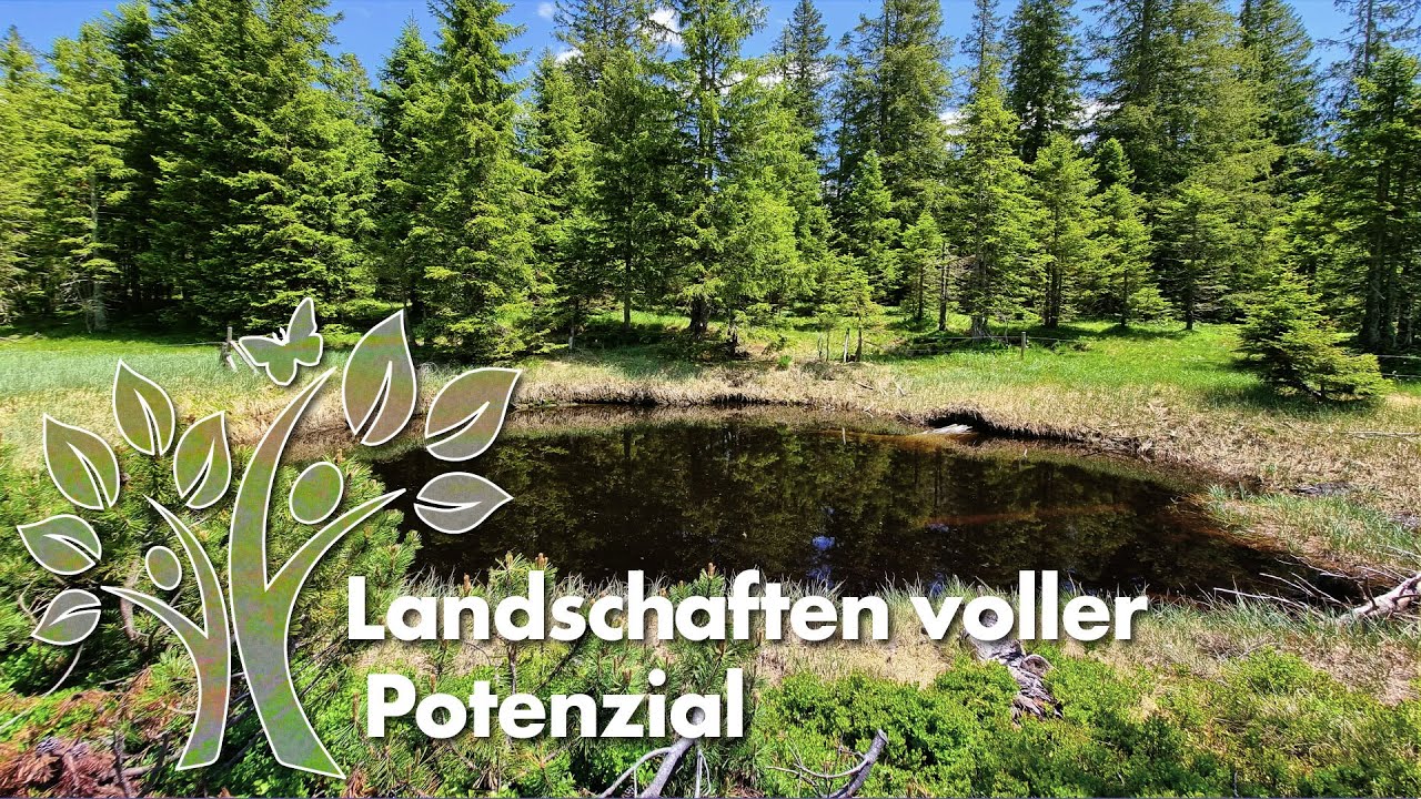 Landschaften voller Wasser – Potenziale unserer Wasserjuwele