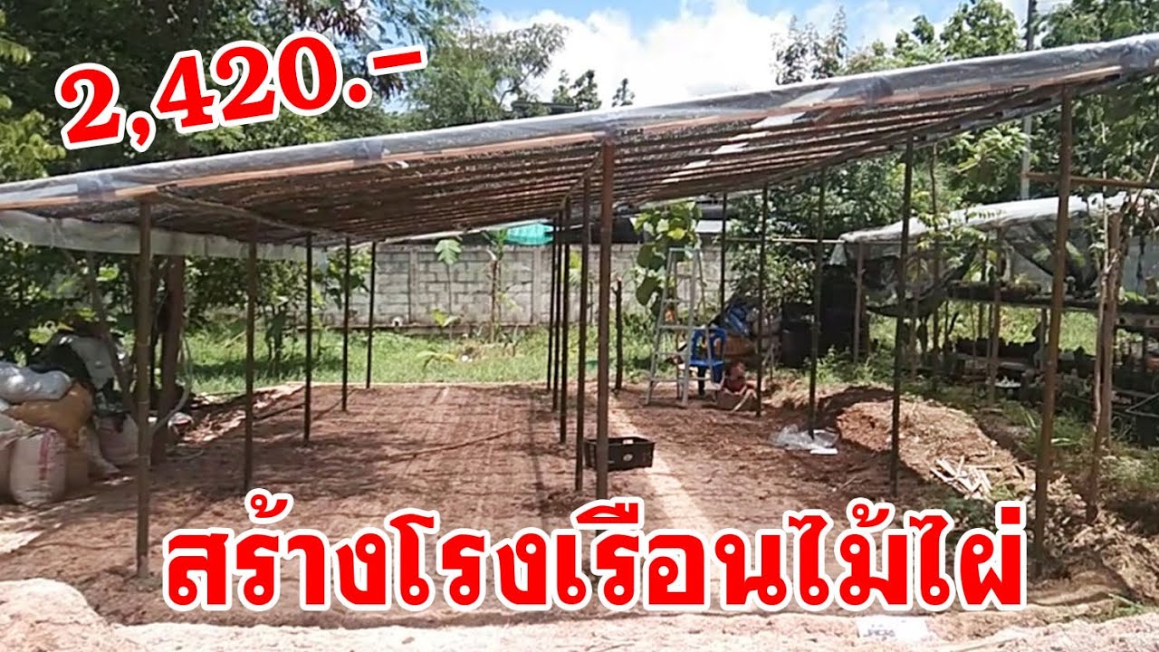 สร้างโรงเรือนไม้ไผ่ ด้วยงบฯ 2420.- Easy Bambco Greenhouse Building for Cactus