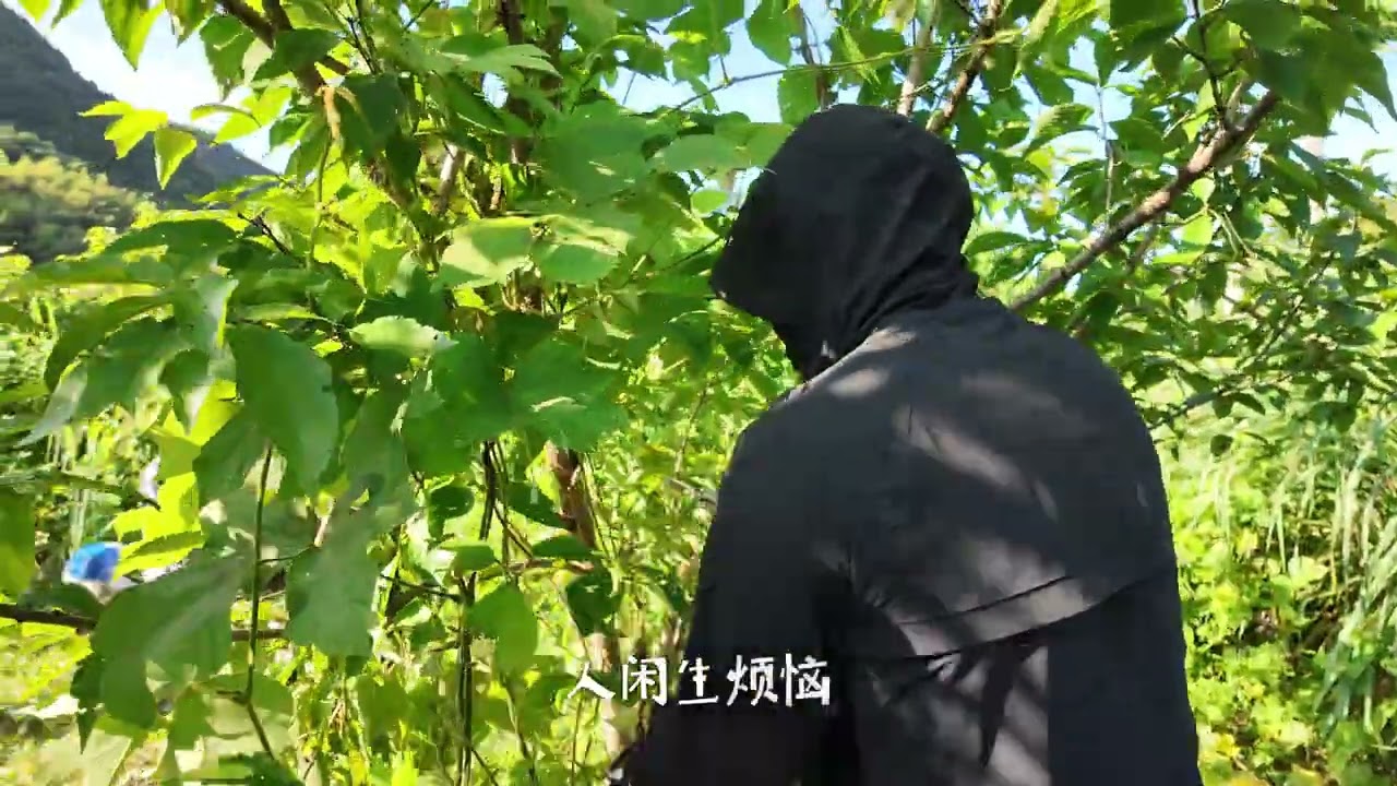 我们喜欢夏天，万物在生长，我们也在生长