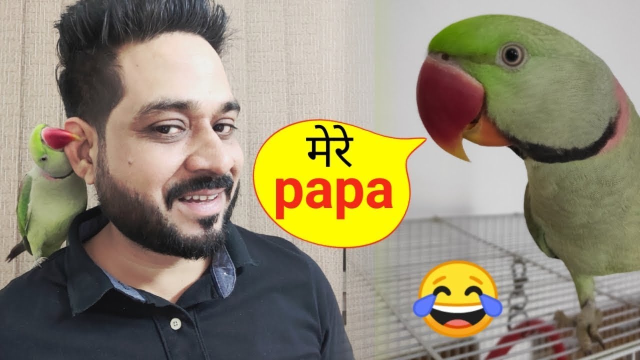 Mere Mummy Papa - Mummy Papa ka beta Pablo 😘