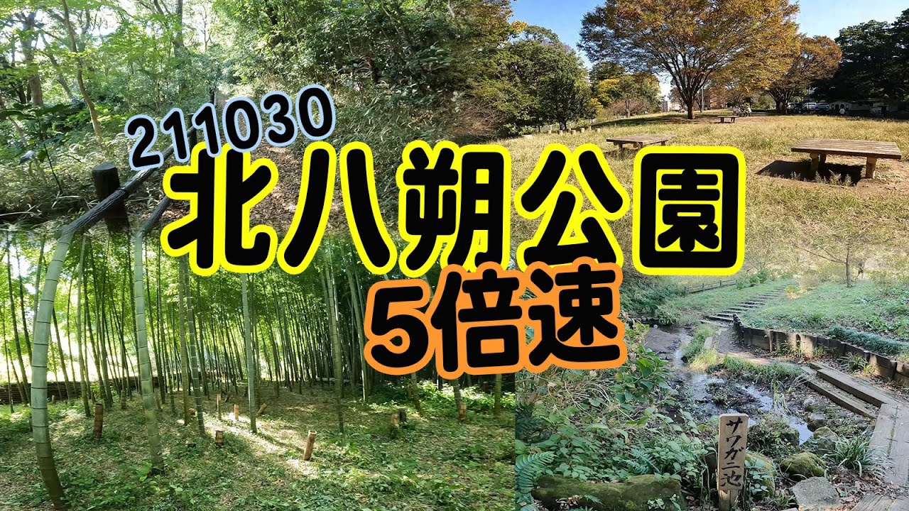 北八朔公園 (211030) 5倍速