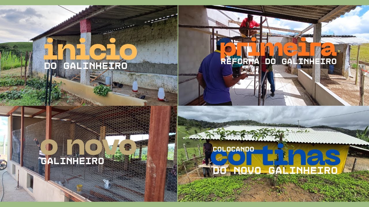 Galinheiro - colocando a tela no galpão - Do lixo ao luxo - parte 1