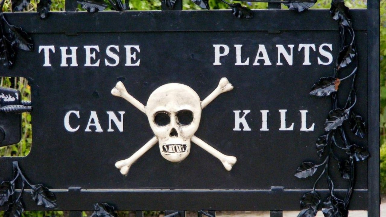 Este Jardín Público en Inglaterra Está Lleno de Plantas Mortales