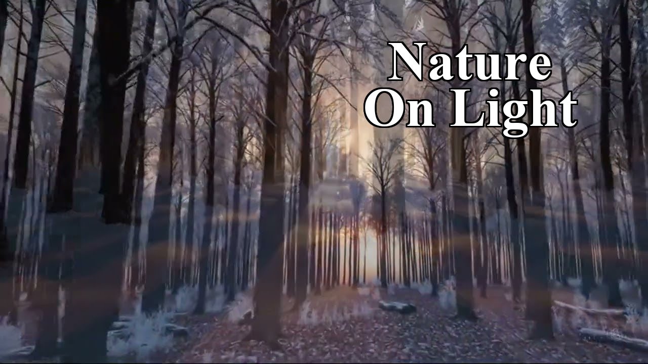 Nature Ambience - Winter Ambient - Quiet Night (Long Mix)