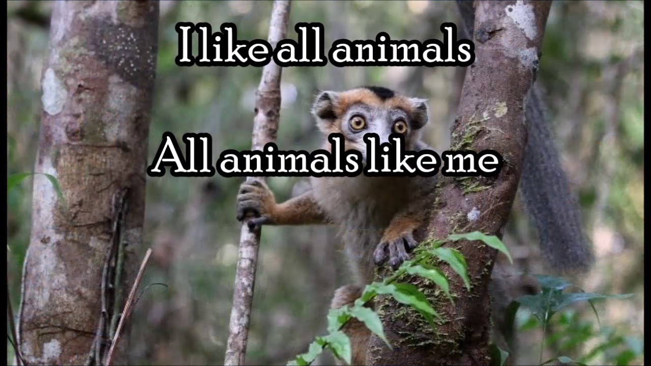 I Like The Roses (a Plum Village song)