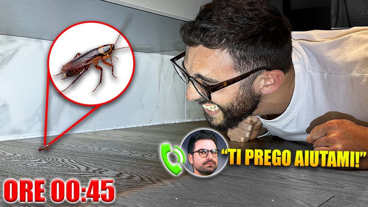 DI NUOVO BLATTE DENTRO CASA!! - Chiamo GiampyTek ALL'1 DI NOTTE!