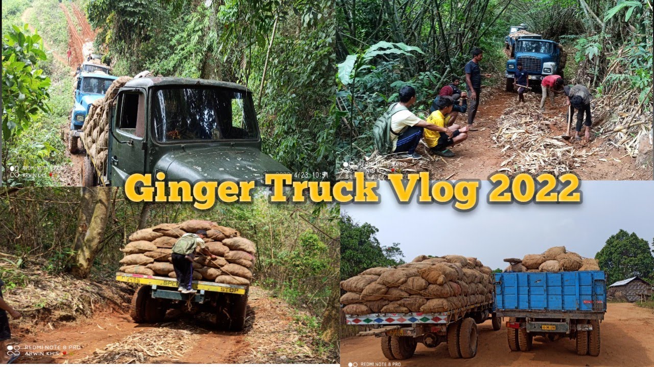 Ginger truck 4x4 Vlog 100 bags each || Kuki Gam Karbi Anglong Assam  2022 || Thangboi Khongsai Media