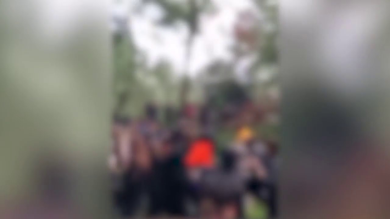 Hundreds ignore coronavirus lockdown to party at illegal rave in the woods