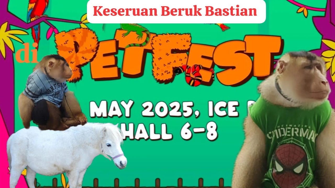 ajak beruk Bastian main di PetFest