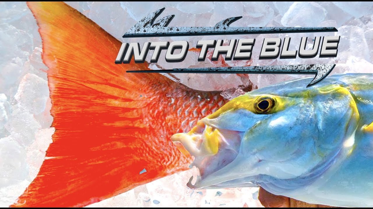 BIG YELLOW JACK and MUTTONS on the Wrecks | *Wreck Fishing* in the Florida Keys | Into The Blue