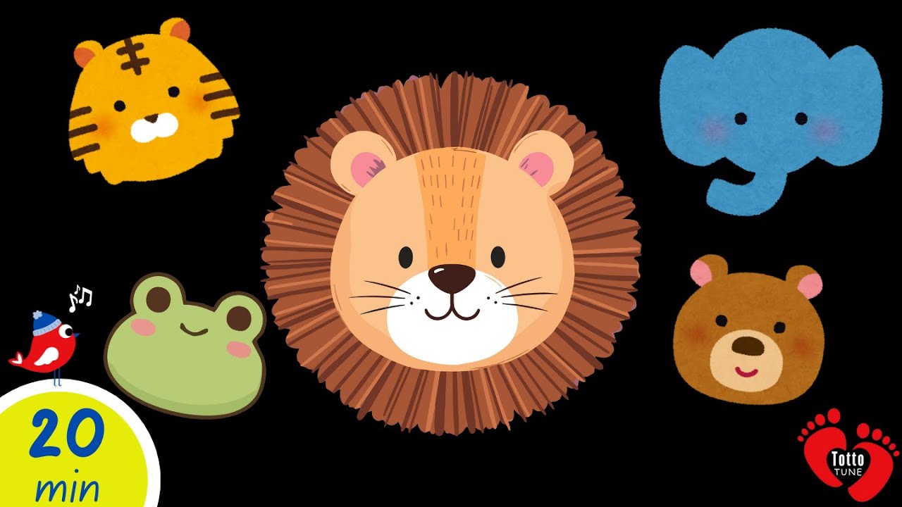 High Contrast Baby Sensory Video | Calm Music for Babies