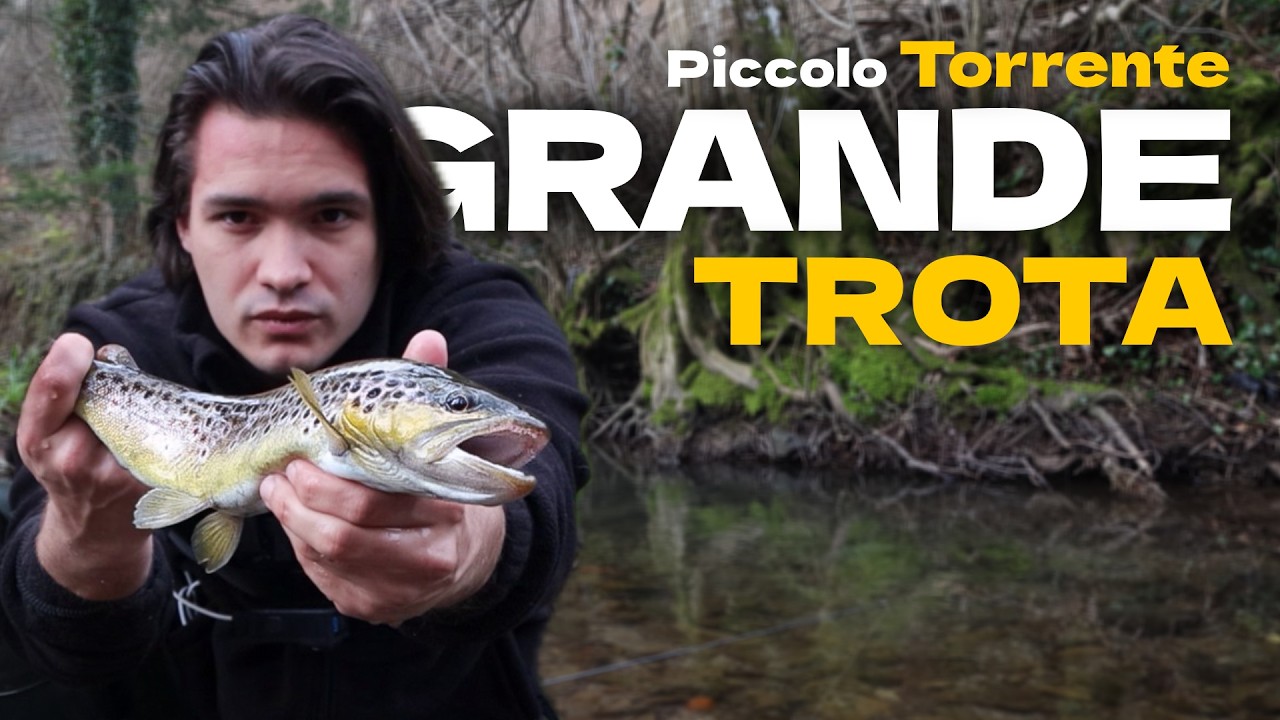 GROSSA TROTA in piccolo TORRENTE - Spinning alla trota in Torrente - APERTURA TROTA 2026
