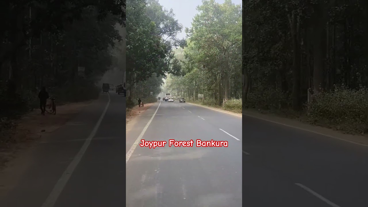 Bankura Joypur Forest 