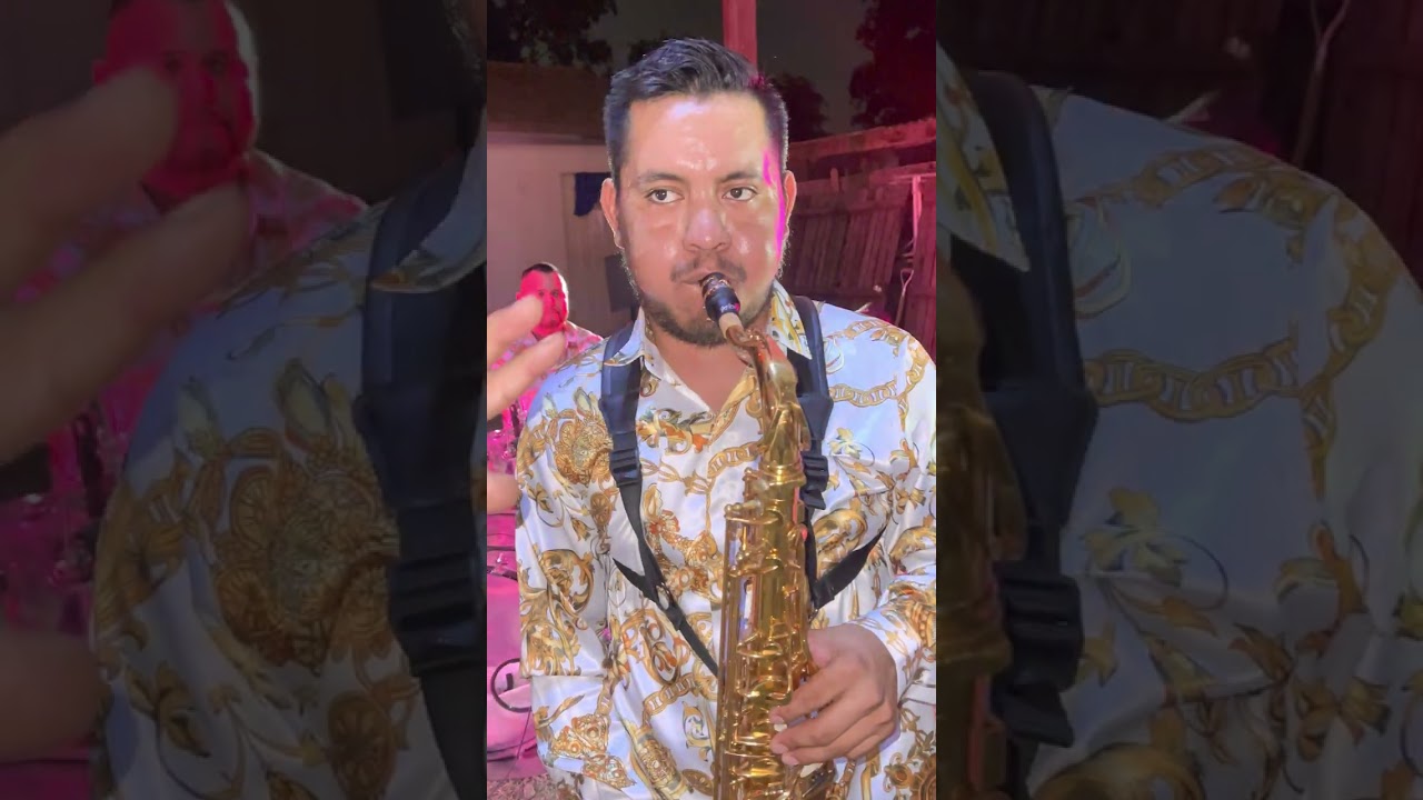 Banda Vientos de Guerrero:  El huizache