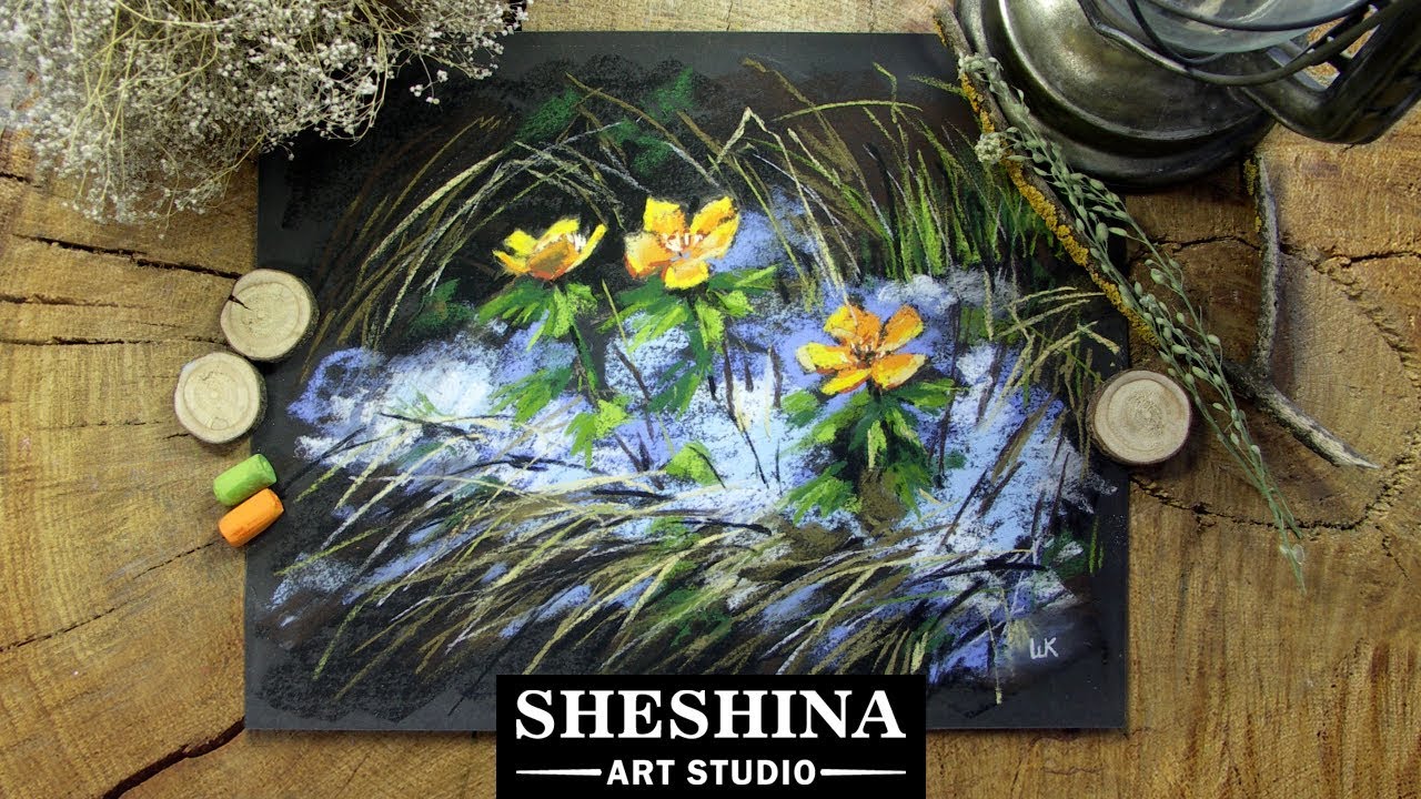 How to draw yellow aconites with soft pastels 🎨 REAL-TIME