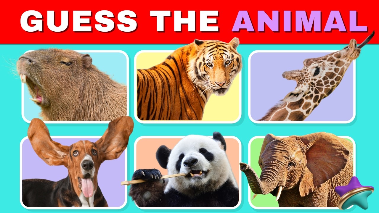 Guess 30 Animals in 3 Seconds 🐯🐘🐵 From Easy to Extreme Level