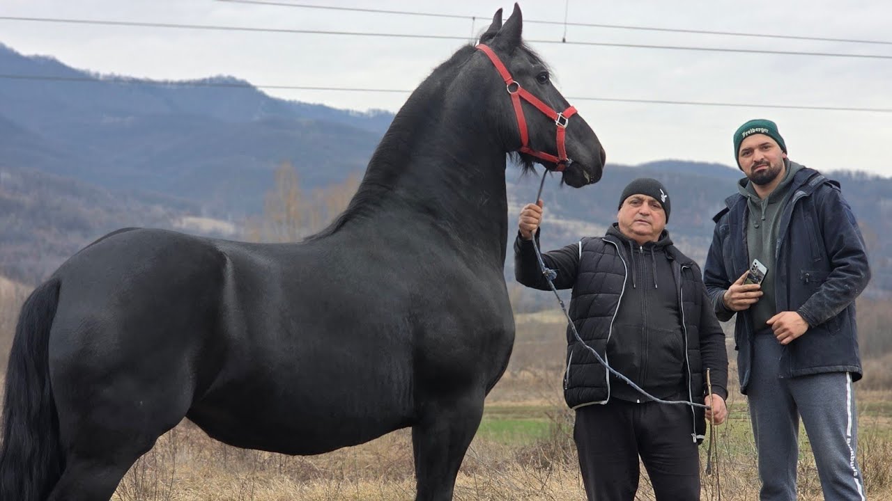 CAII LUI VIRGIL ȘI RĂZVAN DE LA HAȚEG, JUDEȚUL HUNEDOARA