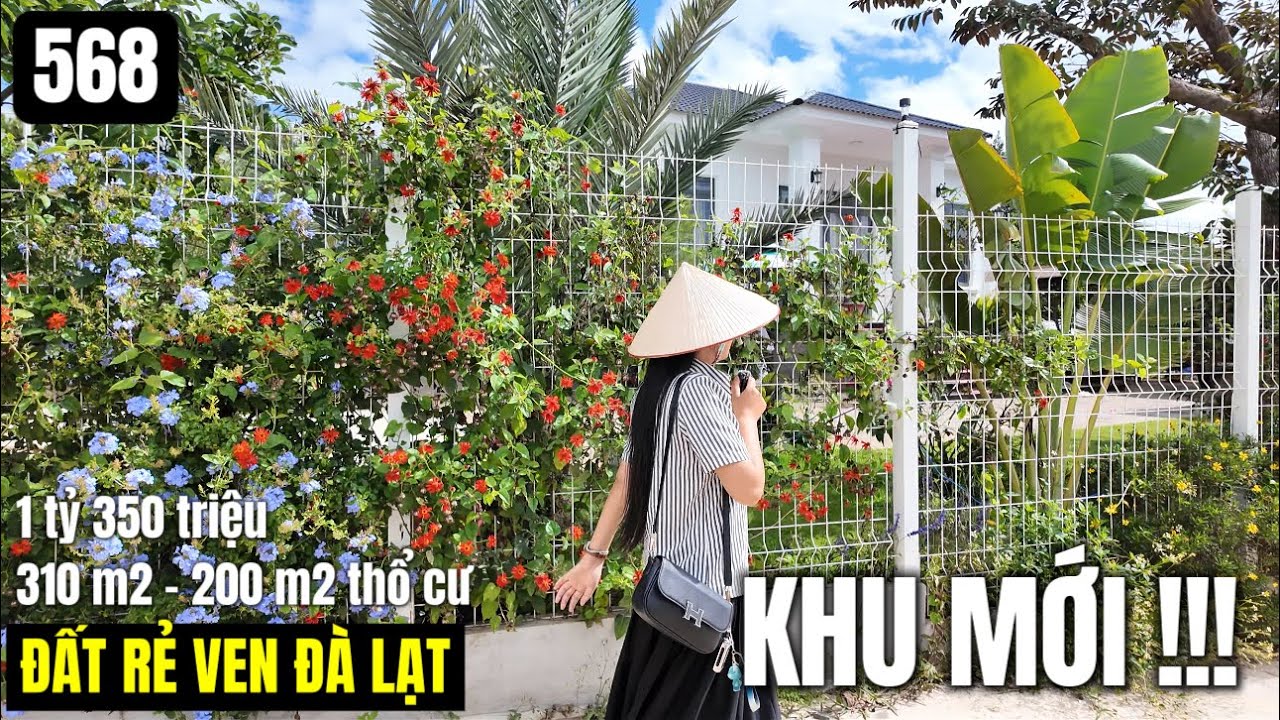 Khu mới ven Đà Lạt gần trường học Gia Lâm đi vào 310 m2 200 m2 thổ cư 1 tỷ 350 triệu 