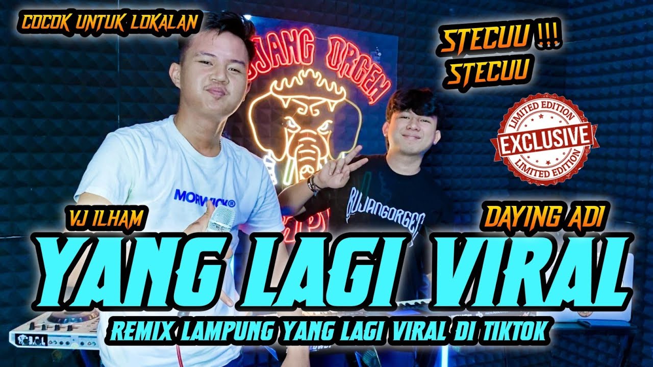 DJ STECU REMIX LAMPUNG ALA AYING ADI ft VJ ILHAM TERBARU || BUJANG ORGEN LAMPUNG 2025