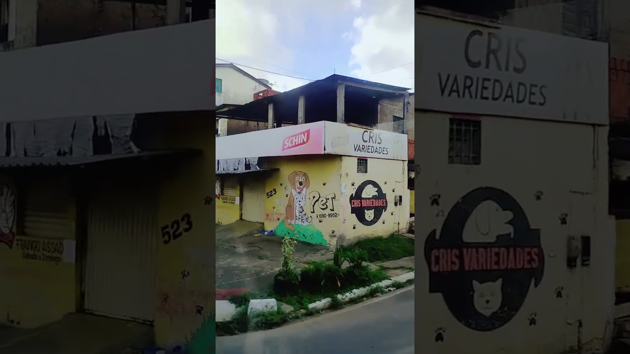19 de janeiro de 2026