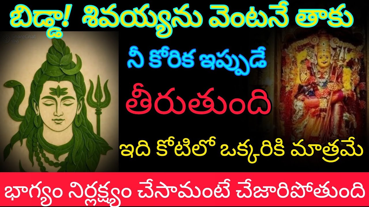 ఈ మహా శివరాత్రి రోజు శివయ్యను తాకి వినుబిడ్డా!కోటిలో ఒక్కరికి మాత్రమే ఈ భాగ్యం నిర్లక్ష్యం చేయకు 