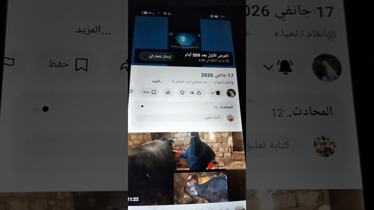 حد هنا 👀