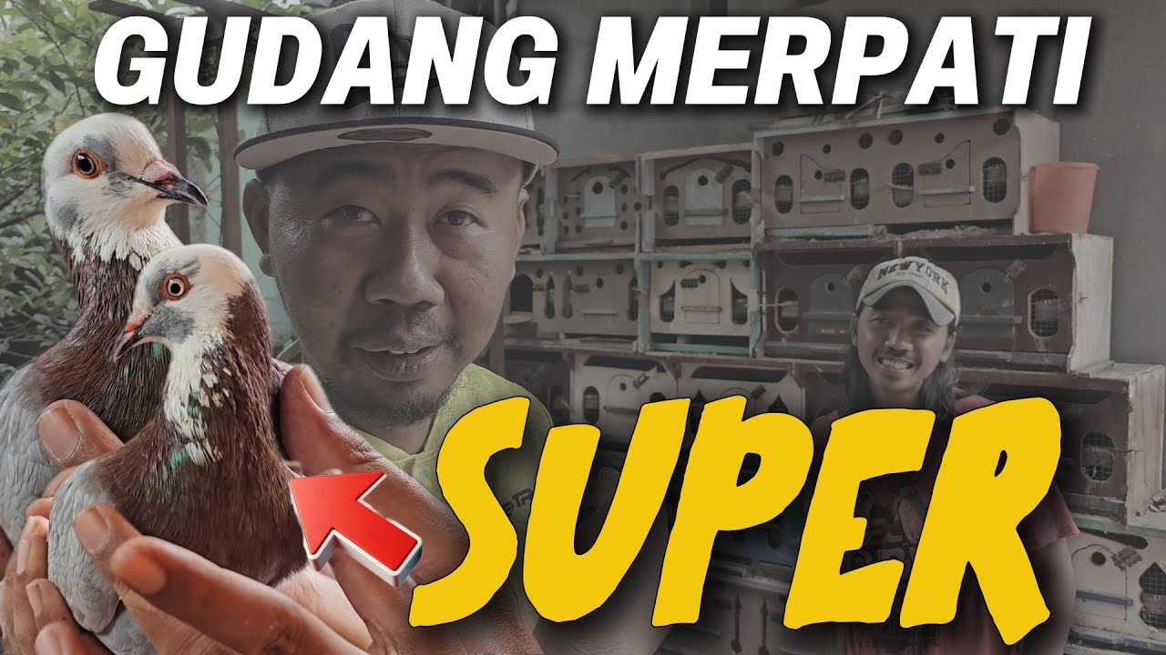 JANGAN KAGET!!! BANYAK JACKPOT DI KIOS GUDANG MERPATI JAKARTA