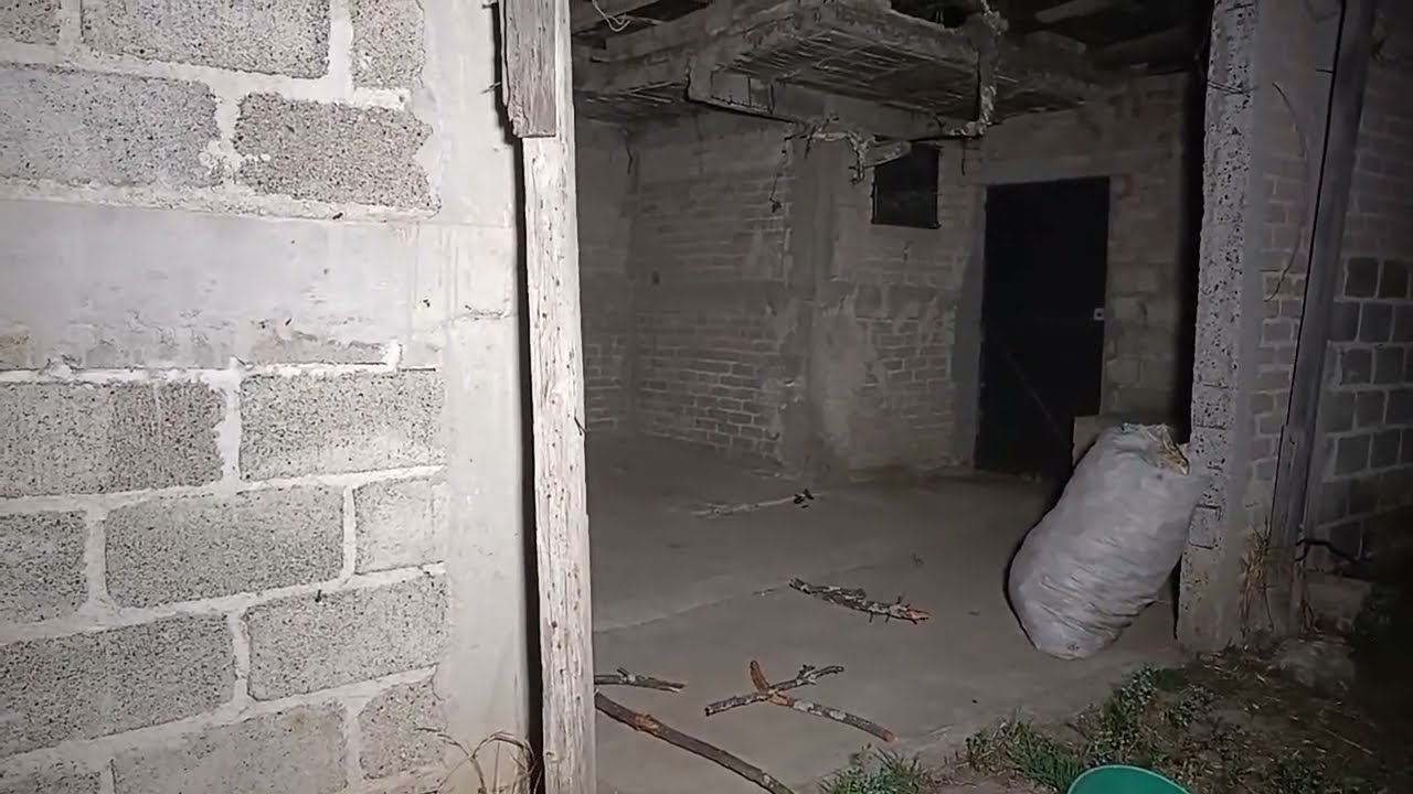 Terror Al Extremo est&aacute; en vivo