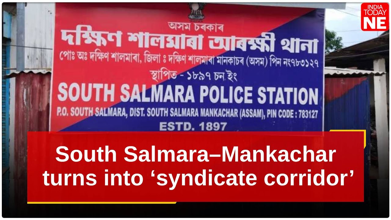 South Salmara&ndash;Mankachar turns into &lsquo;syndicate corridor&rsquo;, cattle smuggling soars
