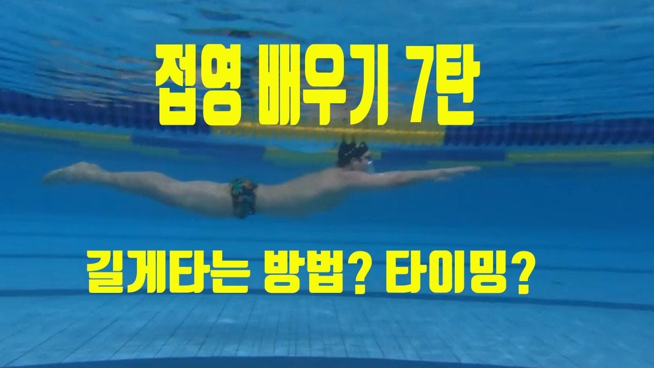 butterfly swimming 접영배우기 7탄 길게 가는 연습 타이밍 맞추기