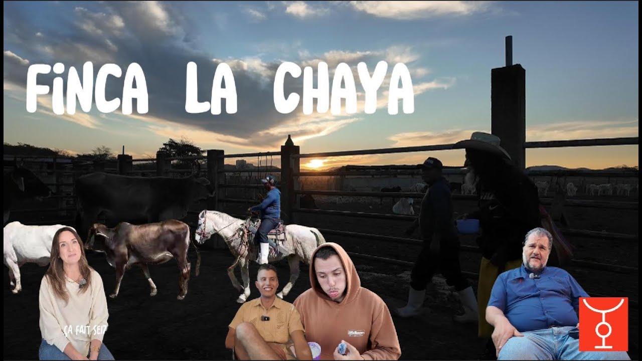 Finca la Chaya- le rêve d'un cowboy